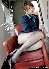 吉沢明歩 × 美脚パンストQUEEN